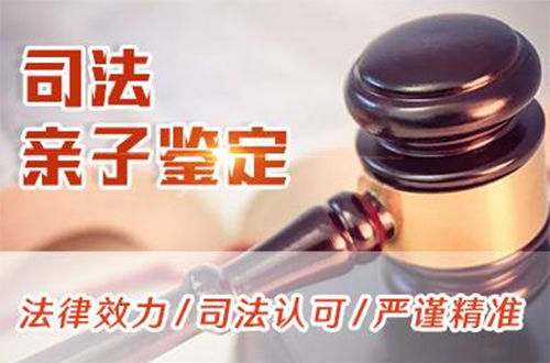 宁夏司法亲子鉴定多少费用,宁夏司法DNA鉴定如何做